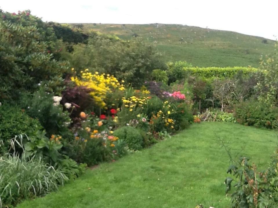 Bed and Breakfast Corndonford Farm Ньютон Эбэт Экстерьер фото